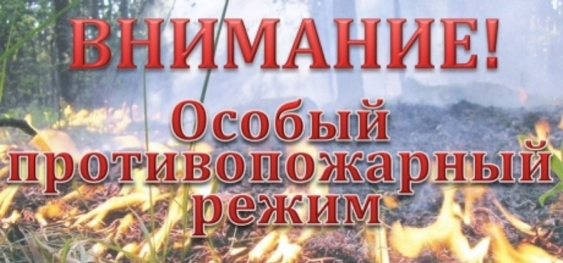 О введении особого противопожарного режима на территории муниципального образования Вятскополянский муниципальный район.